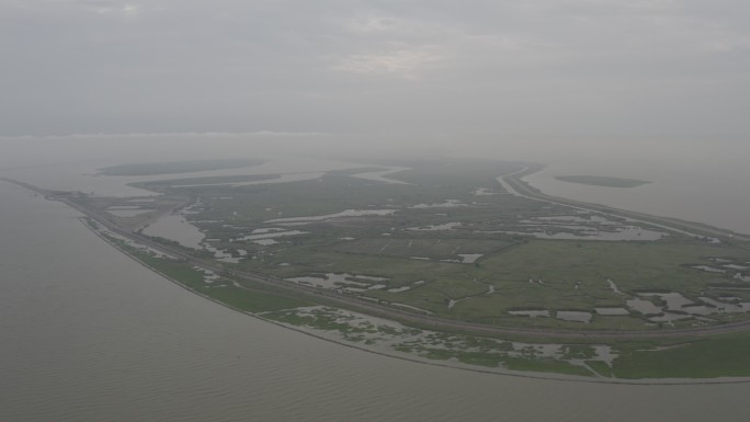 4K-Log-上海青草沙水库江心洲湿地