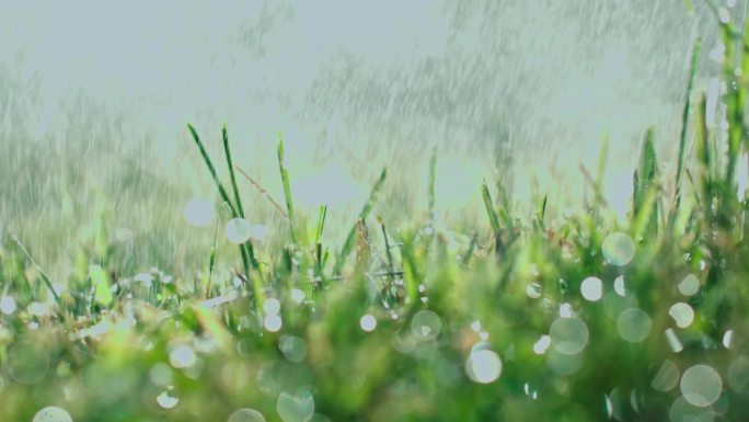 园林灌溉绿化设施喷头-夏季社区公园绿地