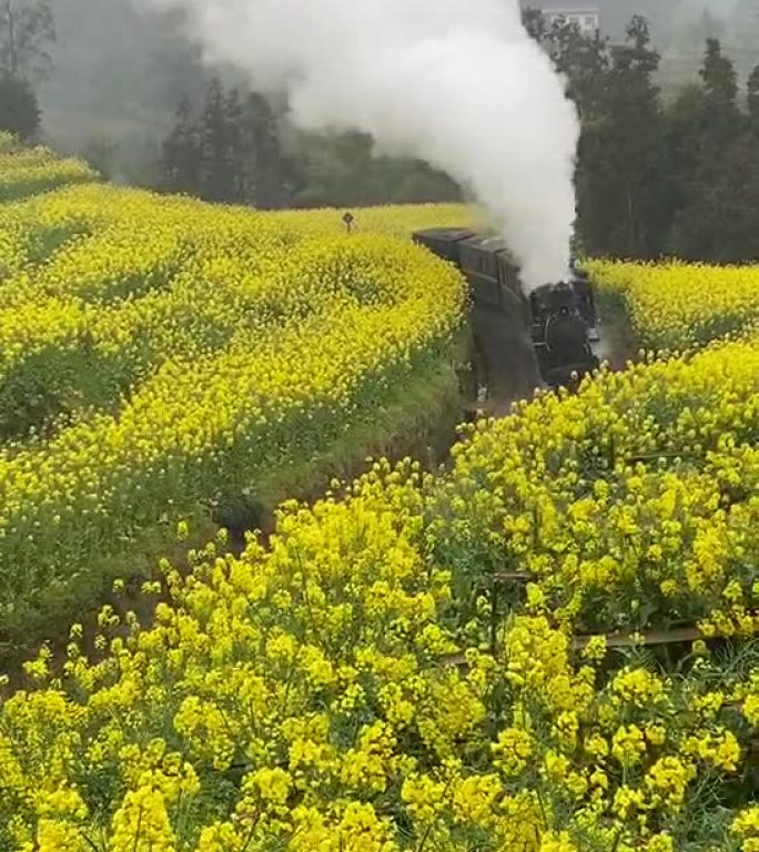 四川嘉阳小火车