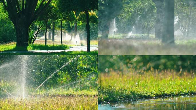 夏季公园园林绿地灌溉绿化喷头