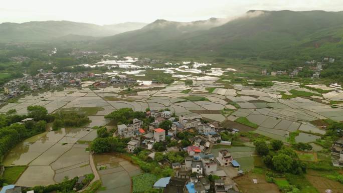 水田 农村 风景