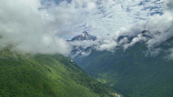 航拍四川阿坝四姑娘山景区云海中幺妹峰