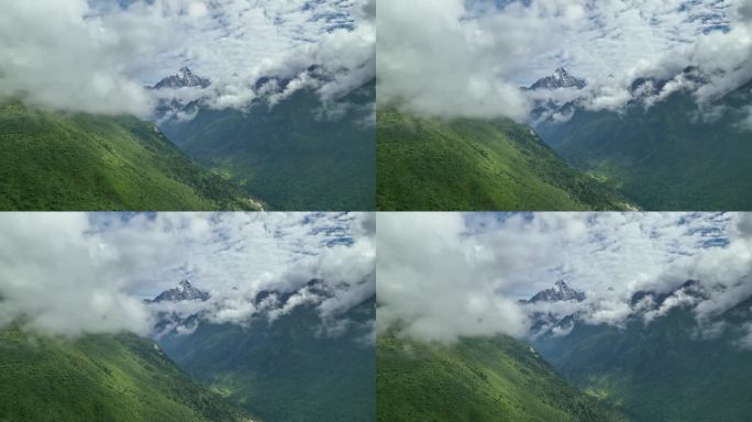 航拍四川阿坝四姑娘山景区云海中幺妹峰