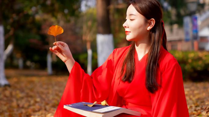 4K江南之秋红衣美女在银杏林里看书赏枫叶