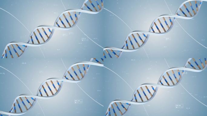 人类DNA的结构是在化合物和数量的背景下旋转的。概念科学技术3D动画无缝循环。