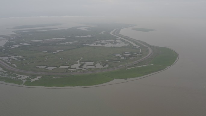 4K-Log-上海青草沙水库江心洲湿地