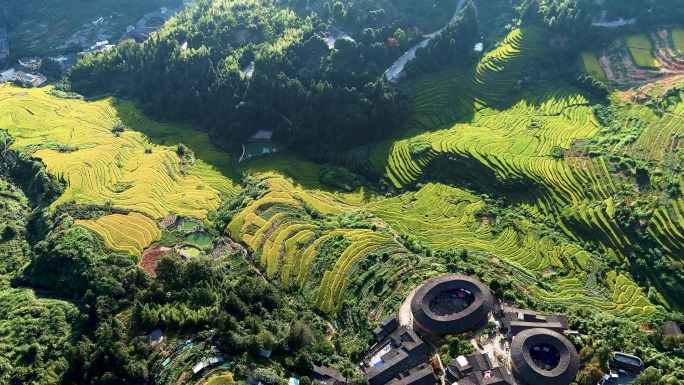 秋天的田螺坑土楼风光