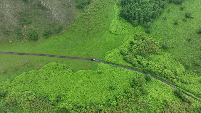 俯拍草原道路小汽车