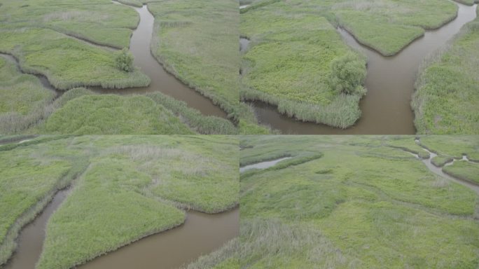 4K-Log-上海青草沙水库江心洲湿地