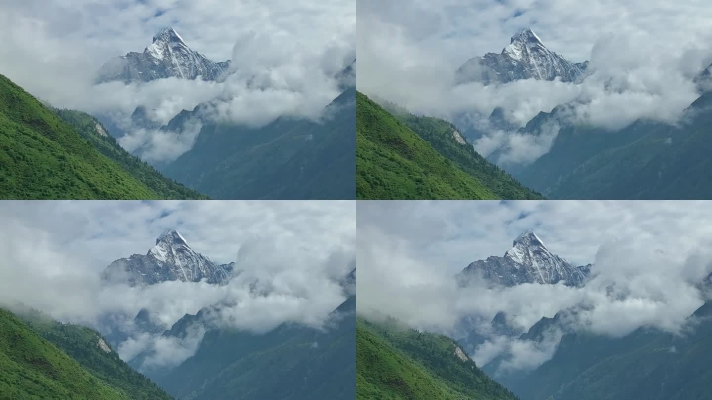 航拍四川阿坝四姑娘山景区云海中幺妹峰