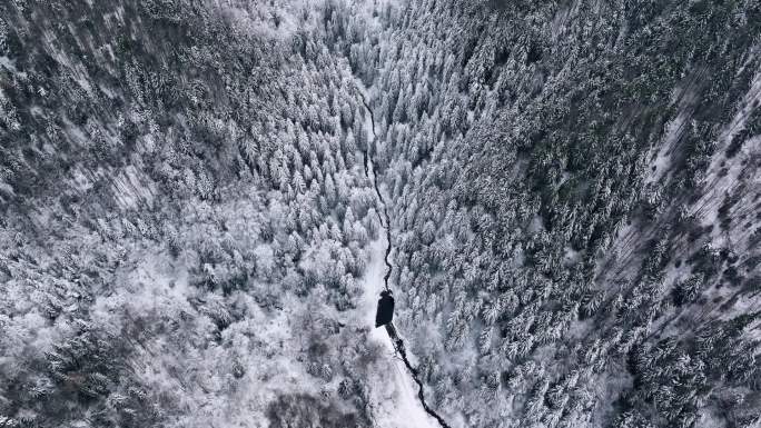 鸟瞰弯曲的道路。罗马尼亚蜿蜒的道路被雪覆盖。高品质DJI Mavic 3 5.1k和镜头是在罗马尼亚