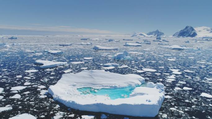 南极融化的蓝水冰山鸟景