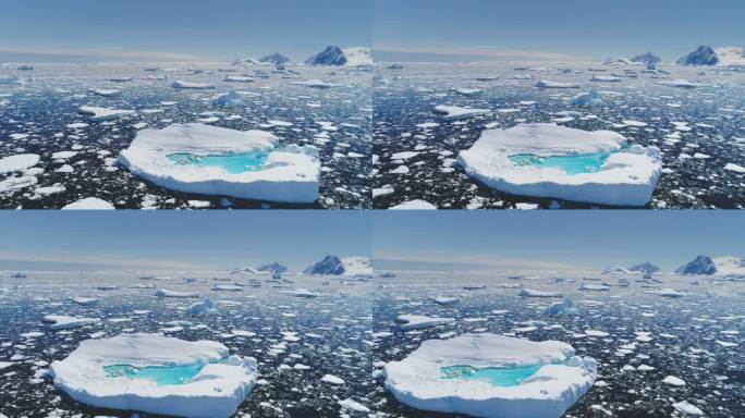 南极融化的蓝水冰山鸟景