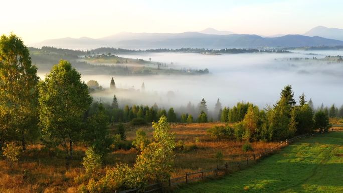 黎明时分，无人机飞过一个风景如画的雾蒙蒙的山谷。地点：乌克兰喀尔巴阡山脉，欧洲。电影空中拍摄。发现地