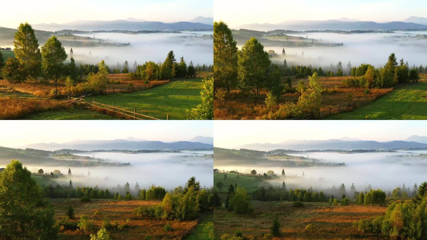 黎明时分，无人机飞过一个风景如画的雾蒙蒙的山谷。地点：乌克兰喀尔巴阡山脉，欧洲。电影空中拍摄。发现地