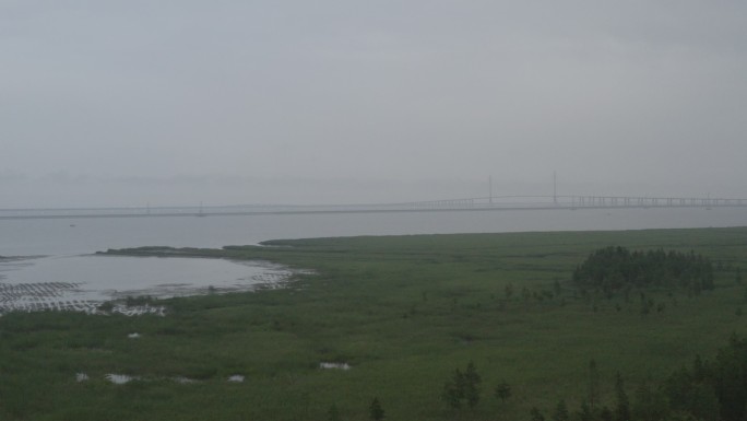 4K-Log-上海青草沙水库江心洲湿地