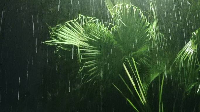 雨丝雨下雨绿叶雨丝倾盆瓢泼大雨海南夜雷雨