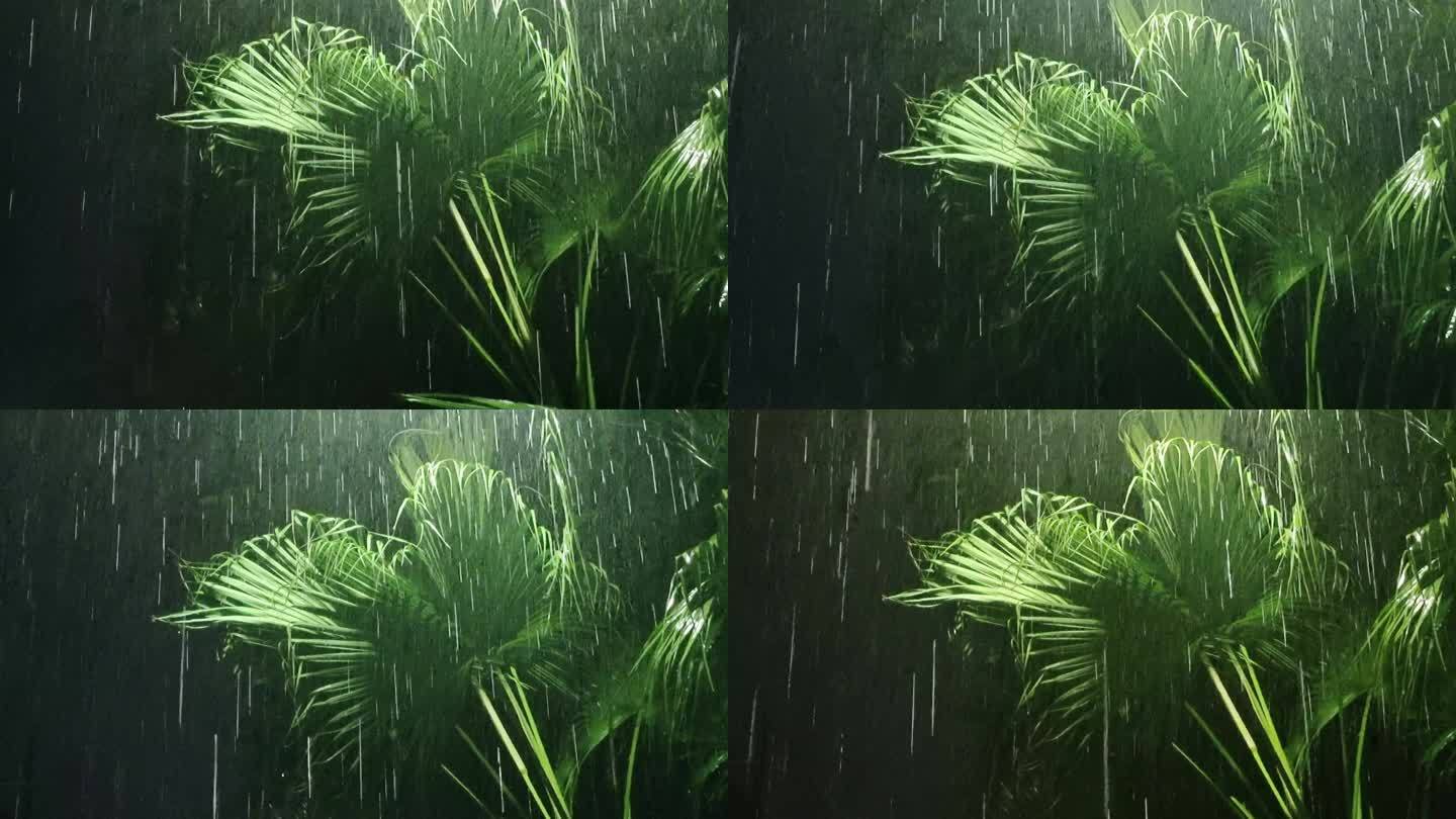 雨丝雨下雨绿叶雨丝倾盆瓢泼大雨海南夜雷雨