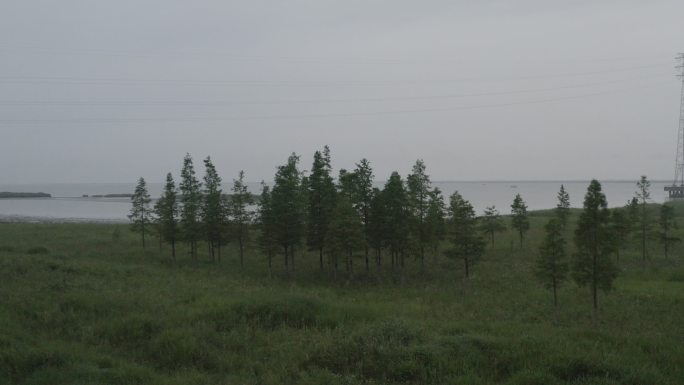 4K-Log-上海青草沙水库江心洲湿地