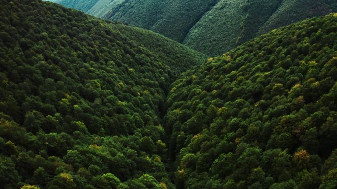 空中俯瞰无人机图像：带着度假营飞越绿色草地。 森林和山脉为背景. 夕阳西下 乌克兰喀尔巴阡山脉