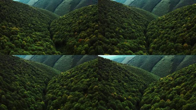 空中俯瞰无人机图像：带着度假营飞越绿色草地。 森林和山脉为背景. 夕阳西下 乌克兰喀尔巴阡山脉