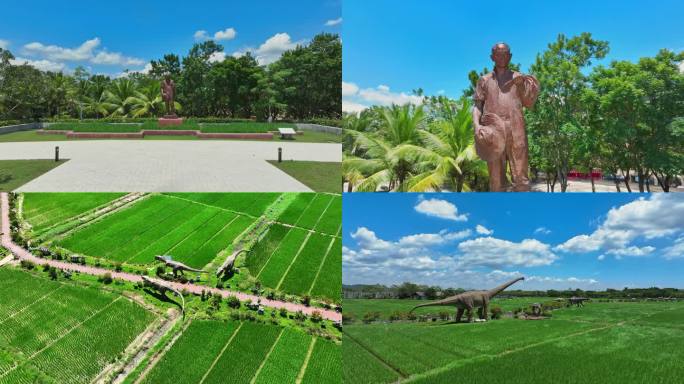 海南三亚国家水稻公园合集