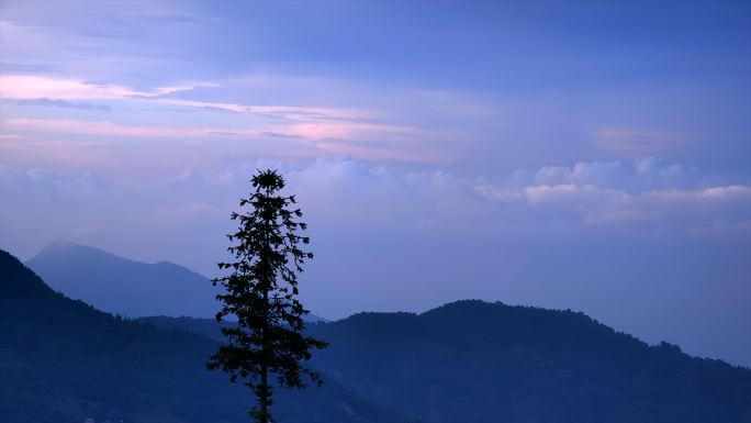 山顶一棵树眺望山谷傍晚晚霞 流云延时