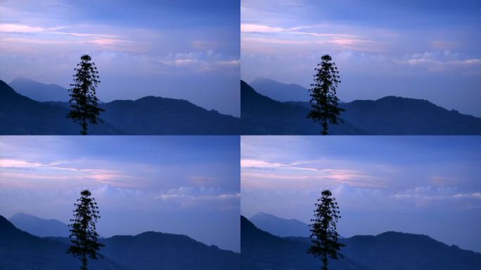 山顶一棵树眺望山谷傍晚晚霞 流云延时