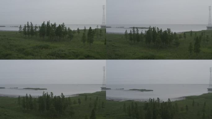 4K-Log-上海青草沙水库江心洲湿地