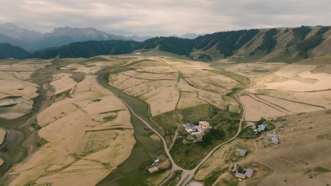 田野 群山 新疆江布拉克