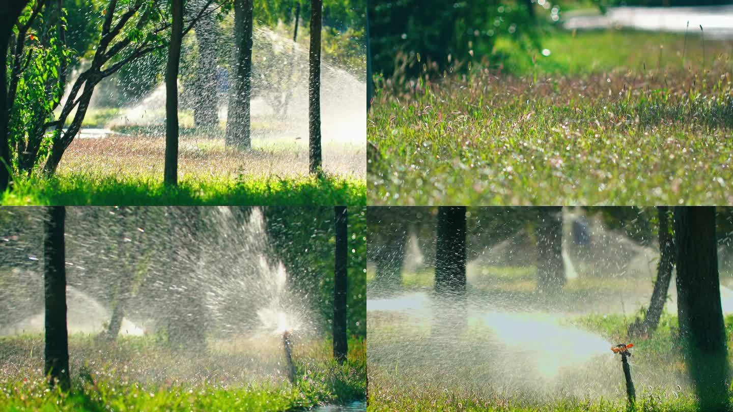 园林灌溉绿化设施-夏季社区公园