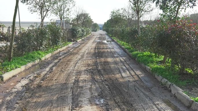 鸡粪堆积场 污道 路面鸡粪 发酵 搅拌区