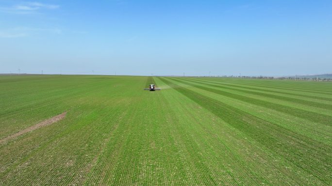 带轮耕的拖拉机，在春田，空中视频。土壤滚动支持发芽，是良好收获、有机耕作和农艺学的基础