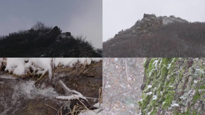 山中冬季下雪小溪苔藓