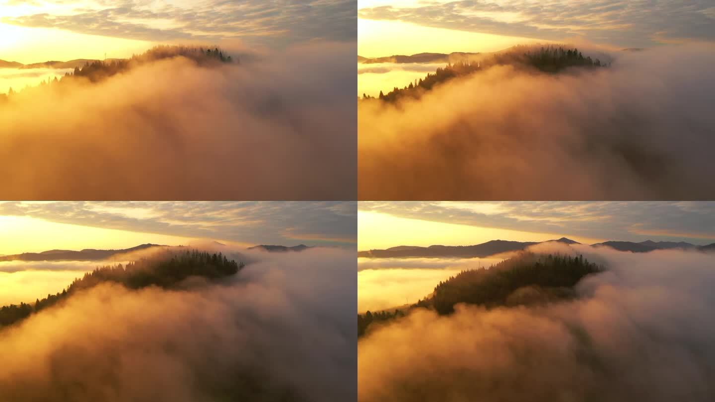 浓浓的浓雾笼罩在晨光中的群山之上.地点：乌克兰喀尔巴阡山脉，欧洲。电影空中拍摄。发现地球的美丽。以，