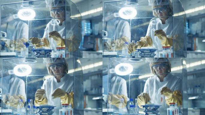 资深女科学家工作与隔离手套箱的样品。她是在一个现代的实验室配备最先进的技术。