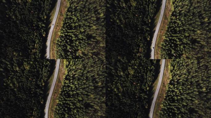 在沥青路面上飞行的鸟瞰图与茂密树林的绿树生长两侧.