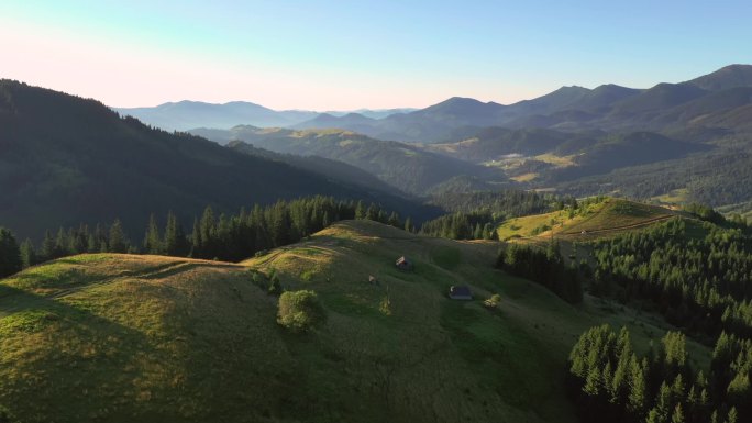 阳光明媚的高山山谷和高山草甸.地点：乌克兰喀尔巴阡山脉，欧洲。电影空中拍摄。发现地球的美丽。以，无人