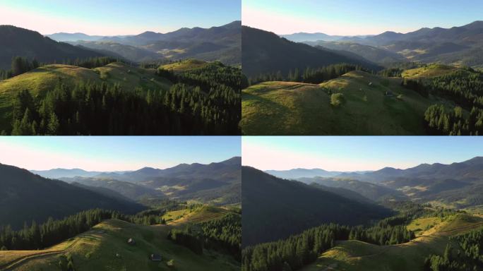 阳光明媚的高山山谷和高山草甸.地点：乌克兰喀尔巴阡山脉，欧洲。电影空中拍摄。发现地球的美丽。以，无人
