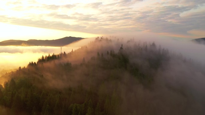 鸟瞰着覆盖着高山的浓雾,鸟瞰着壮丽的景色.地点：乌克兰喀尔巴阡山脉，欧洲。电影空中拍摄。地球的美丽。