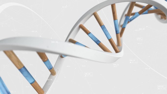 人类DNA的结构是在化合物和数量的背景下旋转的。概念科学技术3D动画无缝循环。