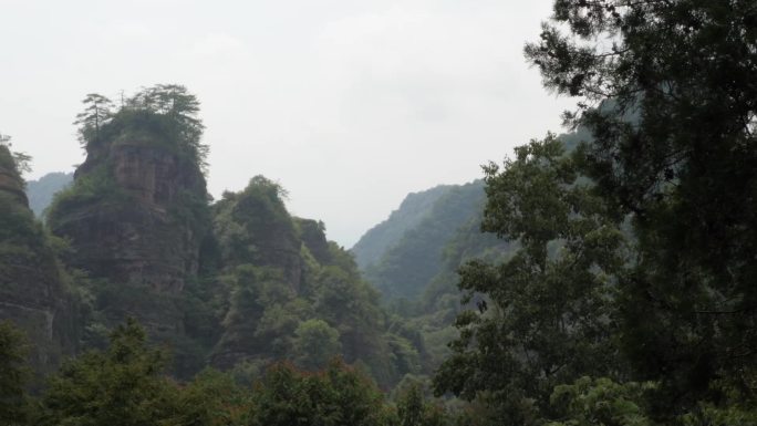 S7安徽省黄山市齐云山深山密林鸟语虫鸣