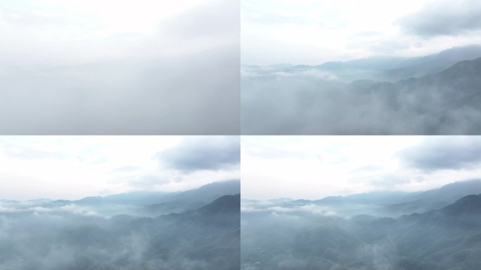 山云雾生态大自然森林晨雾山川山林雾