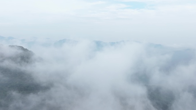 山云雾生态大自然森林晨雾山川山林雾