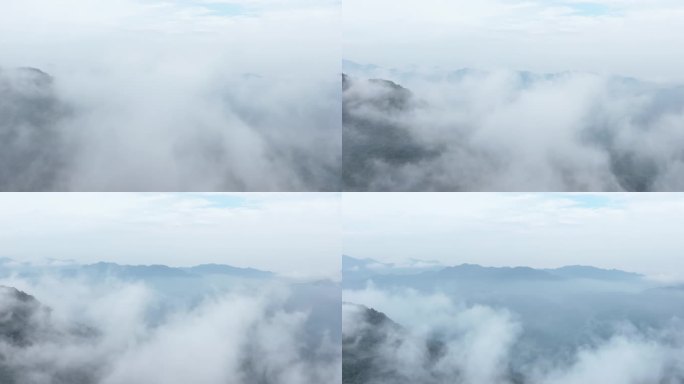 山云雾生态大自然森林晨雾山川山林雾