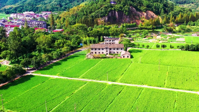 浙江临海市小芝，田园风光，有稻田和村庄