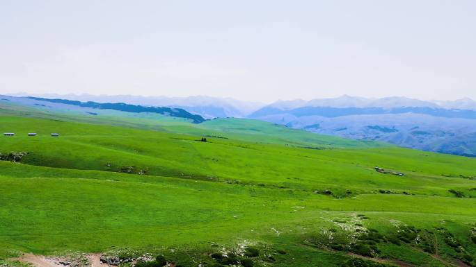 新疆喀拉峻草原