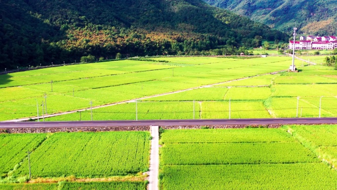 浙江临海市小芝，田园风光，有稻田和村庄