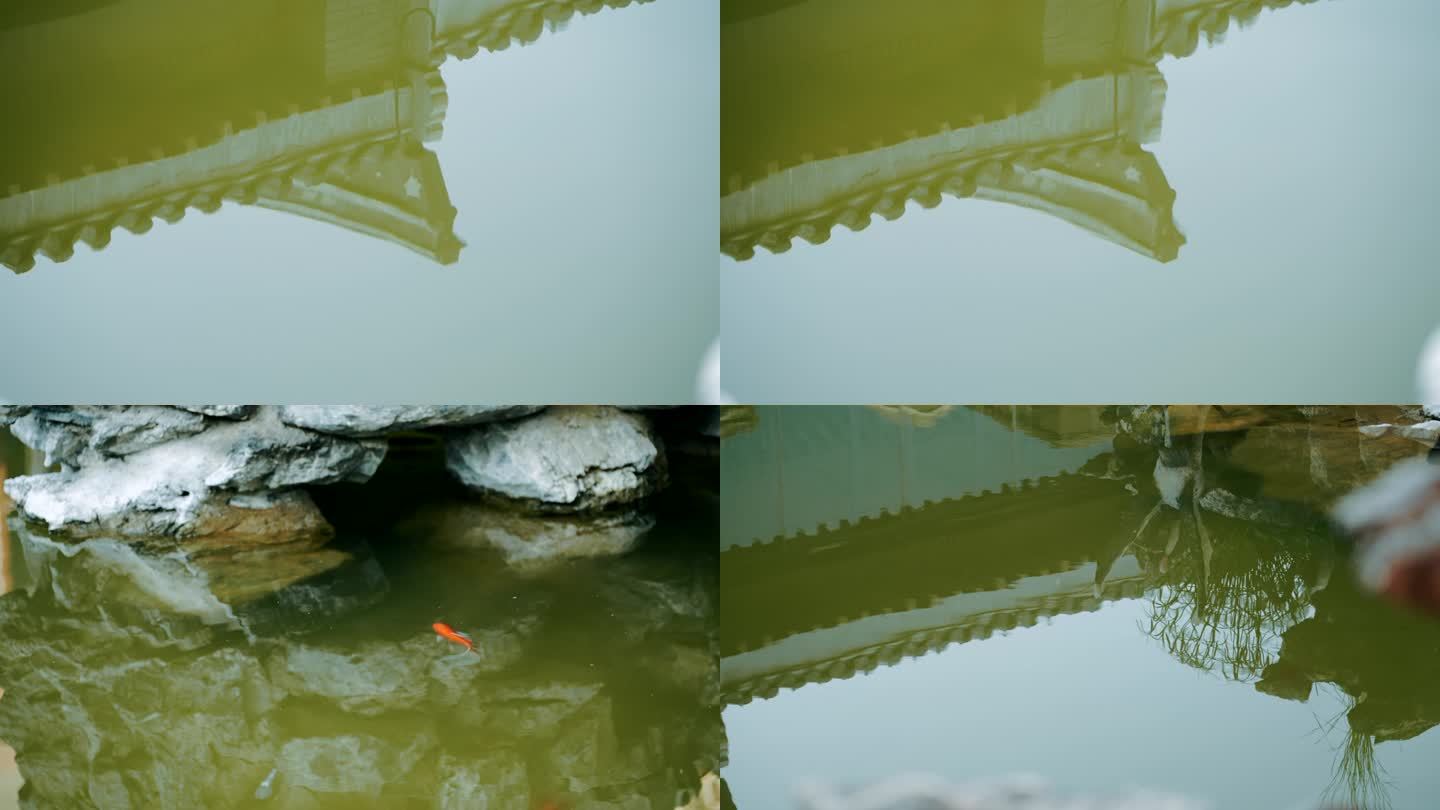 中式建筑水中倒影水池金鱼