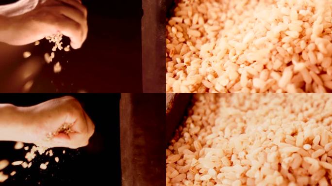 手抓稻谷米粒洒落 稻米落下 慢动作